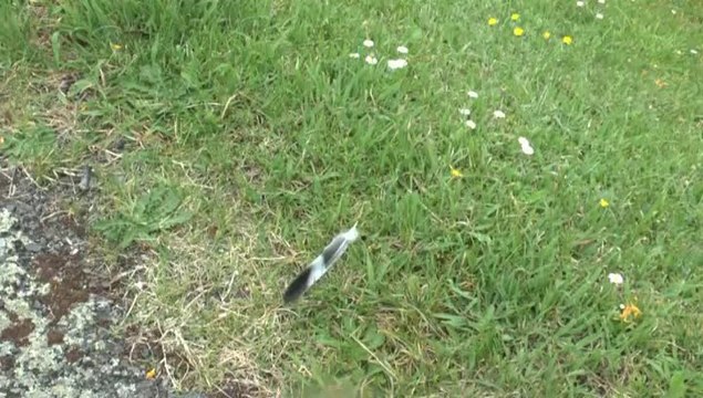 LES W-D.D. MICHOU TUESDAY NEWS - 1er AVRIL 2014 - QUE DE CHANGEMENTS SUR LE CHANTIER DU STADE NAUTIQUE.