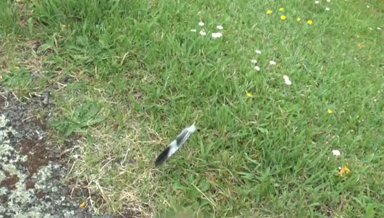 LES  W-D.D. MICHOU TUESDAY NEWS - 1er AVRIL 2014 - QUE DE CHANGEMENTS SUR LE CHANTIER DU STADE NAUTIQUE.