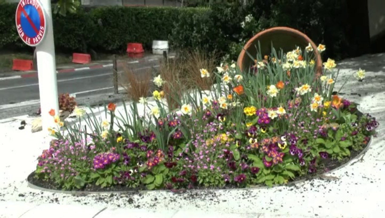 LES PROMENADES DE MICHOU W-D.D. - 4 AVRIL 2014 - PAU - UNE VILLE DANS UN JARDIN...