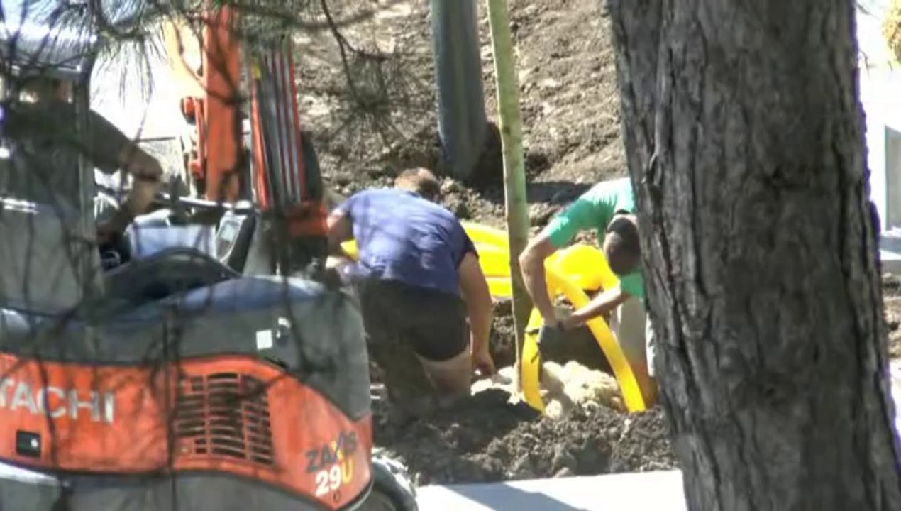 LES  W-D.D. MICHOU FRIDAY  NEWS - 9-10-11 AVRIL 2014 - STADE NAUTIQUE - PLANTATIONS DES ARBRES EN LIVE.