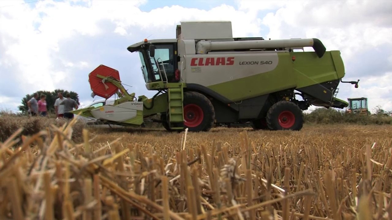 Machine en action - Moissonneuse LEXION 540 - CLAAS