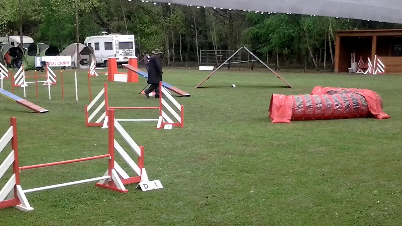 HINDY & TIFAINE AGILITY REGIONAL 2014