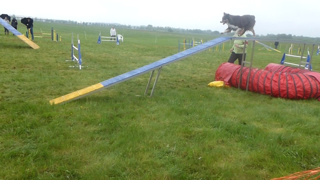 Errevet 2ème degré Gioia 01-05-2014