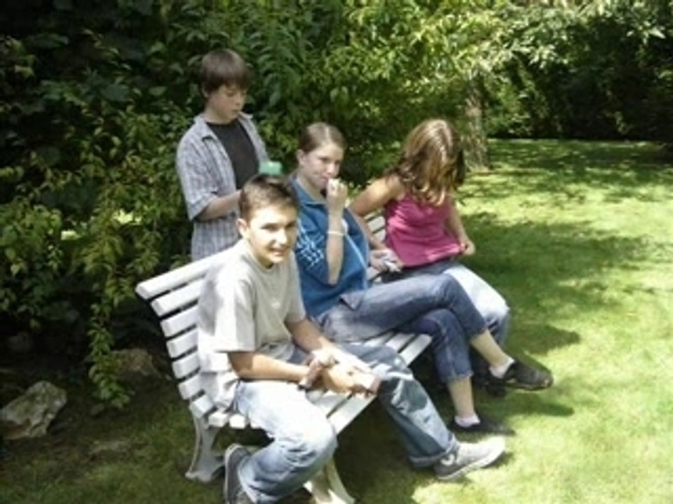 Amis