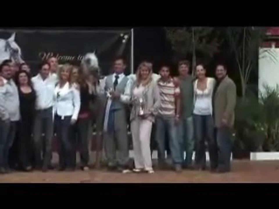 Güzel Atlar 5