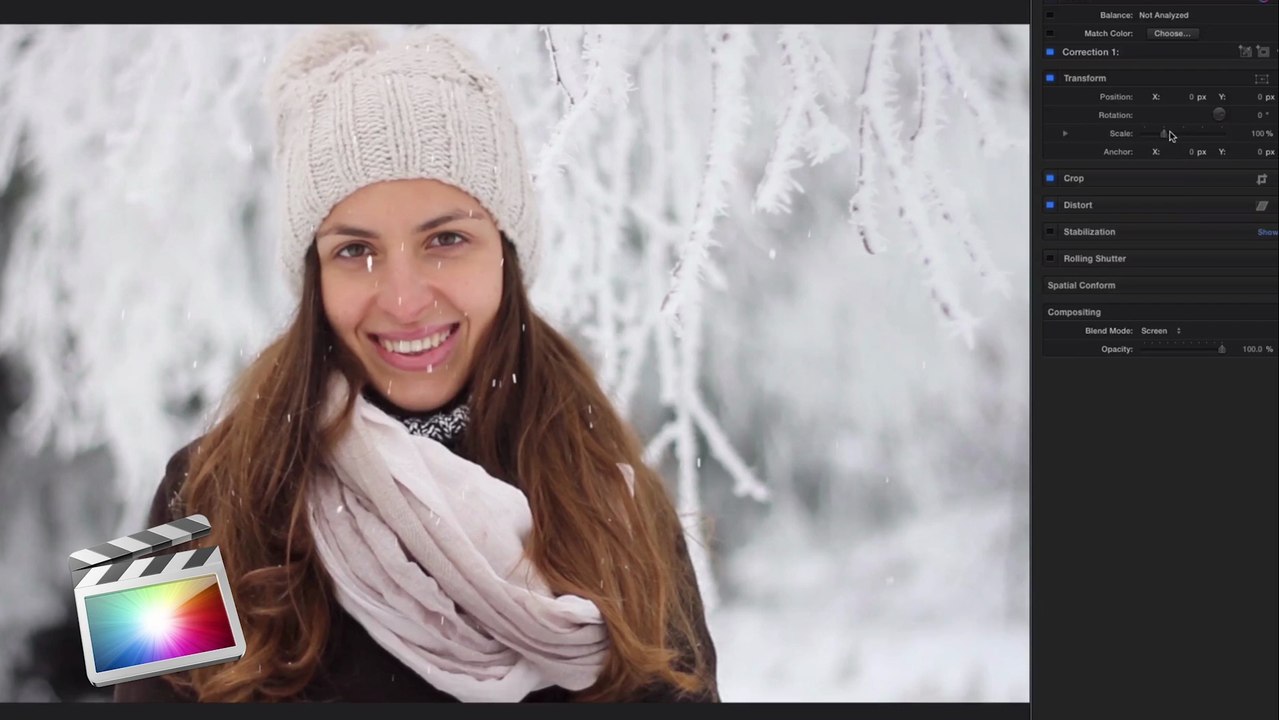 Visual Effects for Final Cut Pro, Premiere Pro, After Effects and Motion