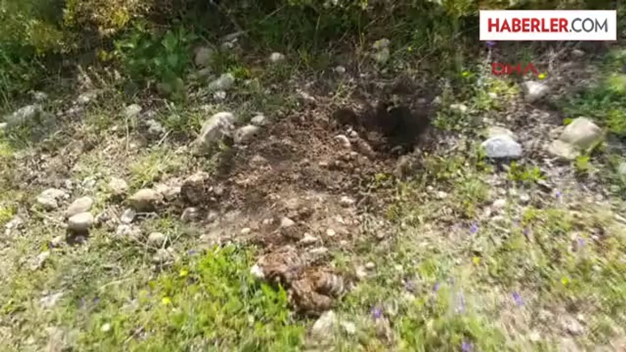 Köpeğin Bulduğu Bebeği Anne Canlı Gömmüş