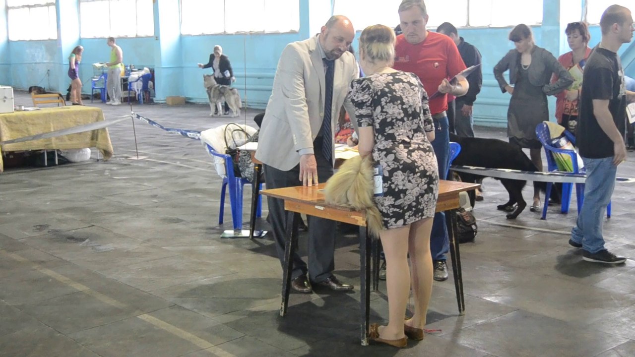 Мариуполь 2014-1 кобель юниор
