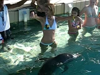 danse entre dauphin et juju