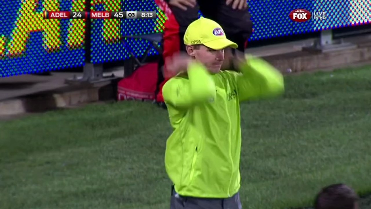 AFL 2014 Round 7 - Adelaide v Melbourne x264-VB (3rd Quarter)