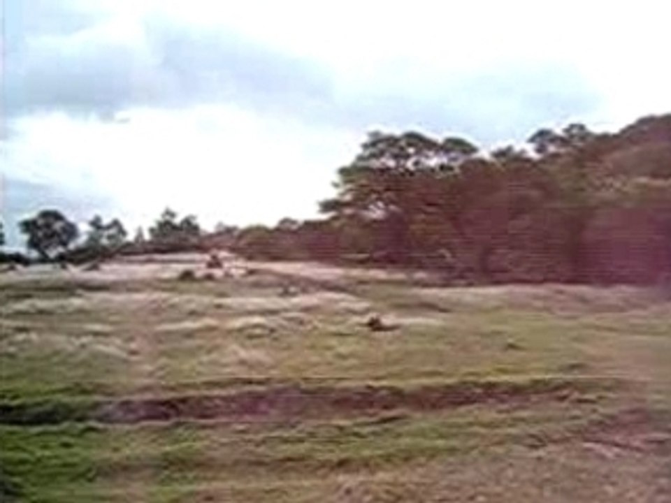 Quad wil
