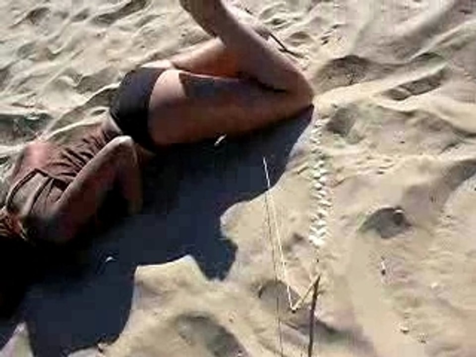 saut de fou le grand plongeon !!!