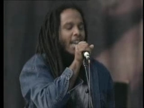 ZIGGY MARLEY ' natty dread'