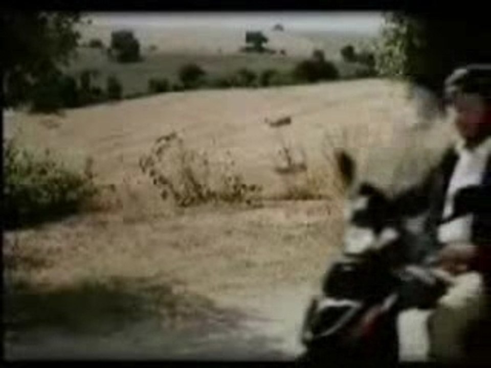 les couille de l ane