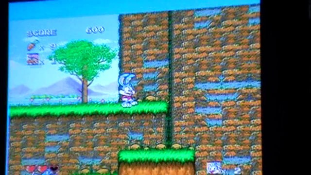brocante du 22 avril et test de tiny toon adventures megadrive