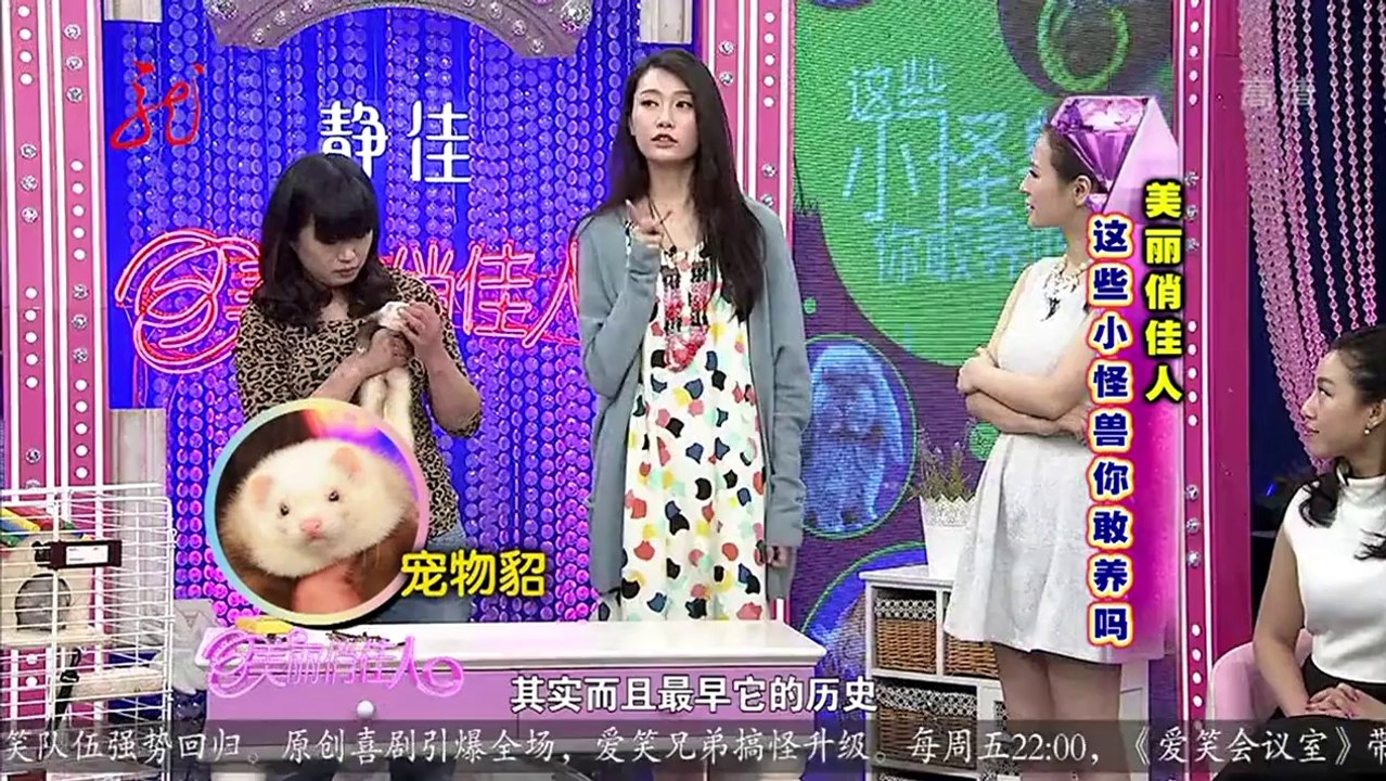 20140228 美丽俏佳人 这些小怪兽你敢养吗