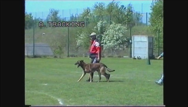 Oscar du Calvaire Aux Acacias Douai Selectif