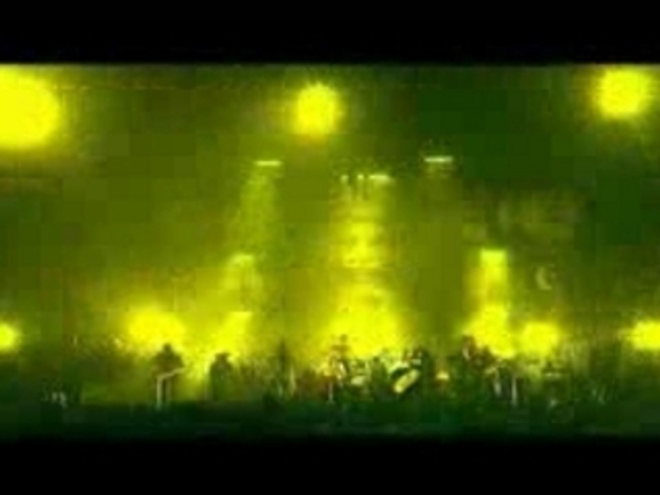 Manu Chao ~~ Live ~~
