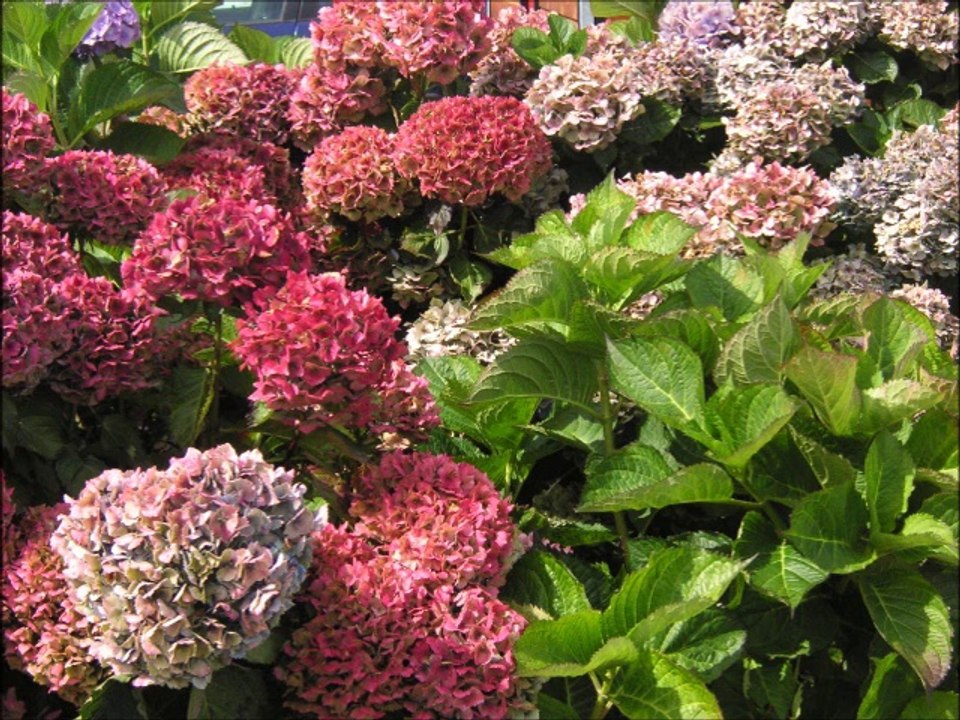 Frankreich_Die Bretagne: Perle im Atlantik