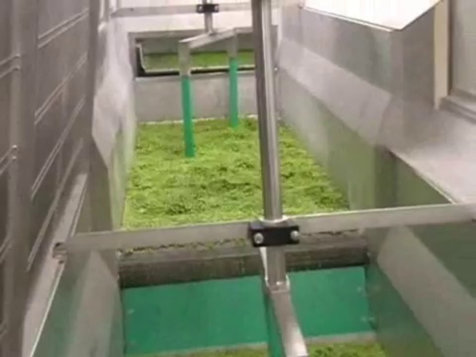 EASY Freeze - petits pois Green Peas Freezing - www.pigo.it