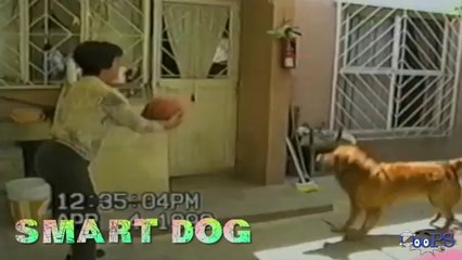 Pranks - Gags - Win - Fail.54