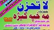 PASHTO  TAQREER  251 di  dunyawi  zuand  haqiqat  la  tahzan  peer  meer  agha  sahibzada_mpeg4