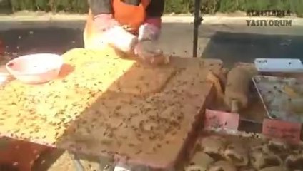 Arı İstilası Altında Pasta Yapmak