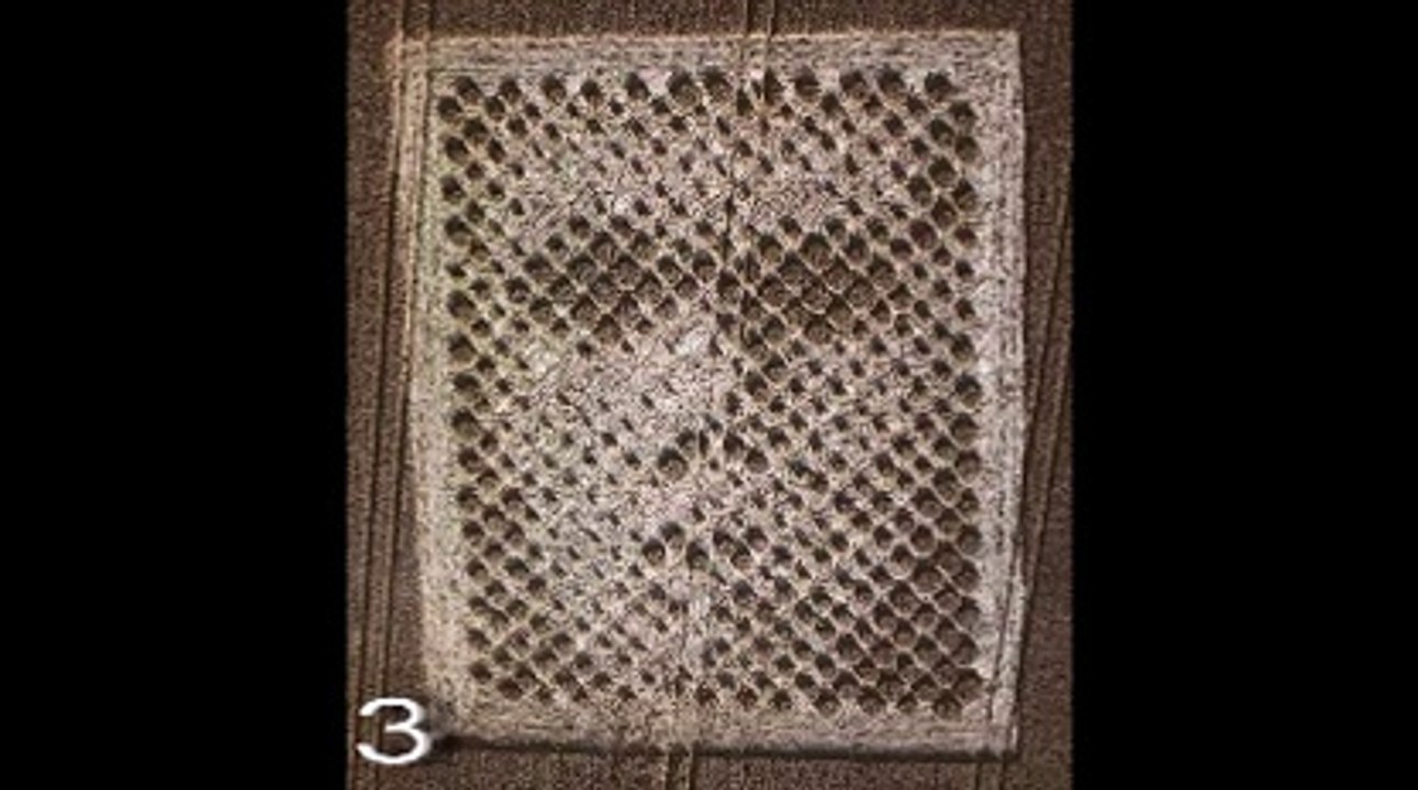 Crops circles du message d'Arécibo - Hypothèse militaire ou extraterrestre ?