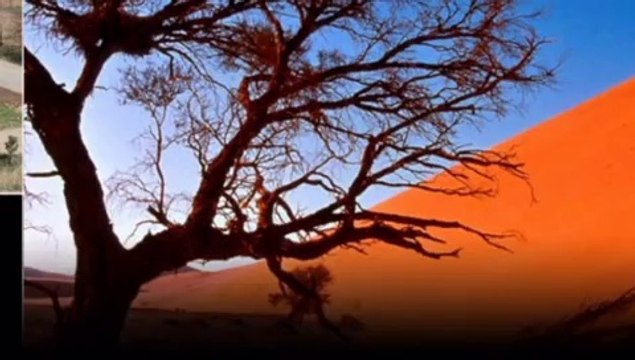 ZAY OLMA GÖNÜL...DURAK YİĞİT VİDEOSU