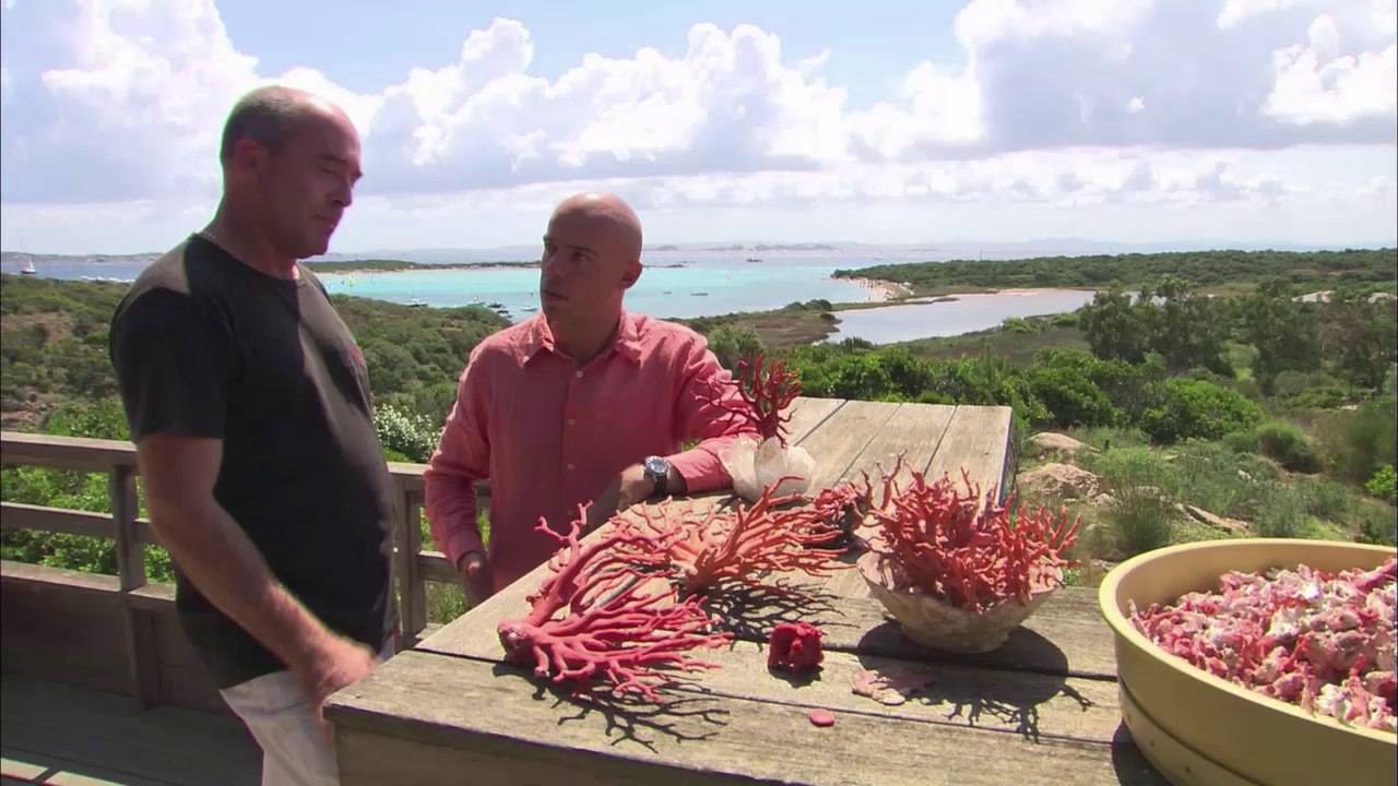 Danse avec les poissons_En Mediterranee (HD)