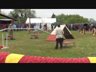 SELECTIF GPF 2014 CANDY