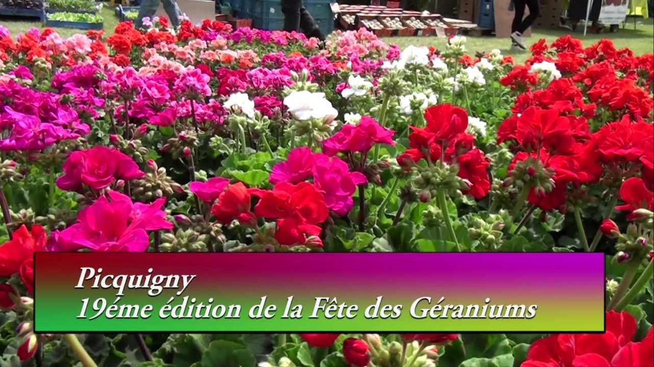 fête des géraniums 2014