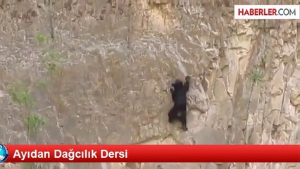 Ayıdan Dağcılık Dersi