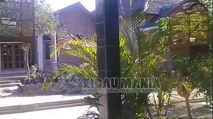 Télécharger la video: 133. KICAUAN BURUNG CENDET, PENTET, MASTERAN CENDET GACOR JUARA NASIONAL