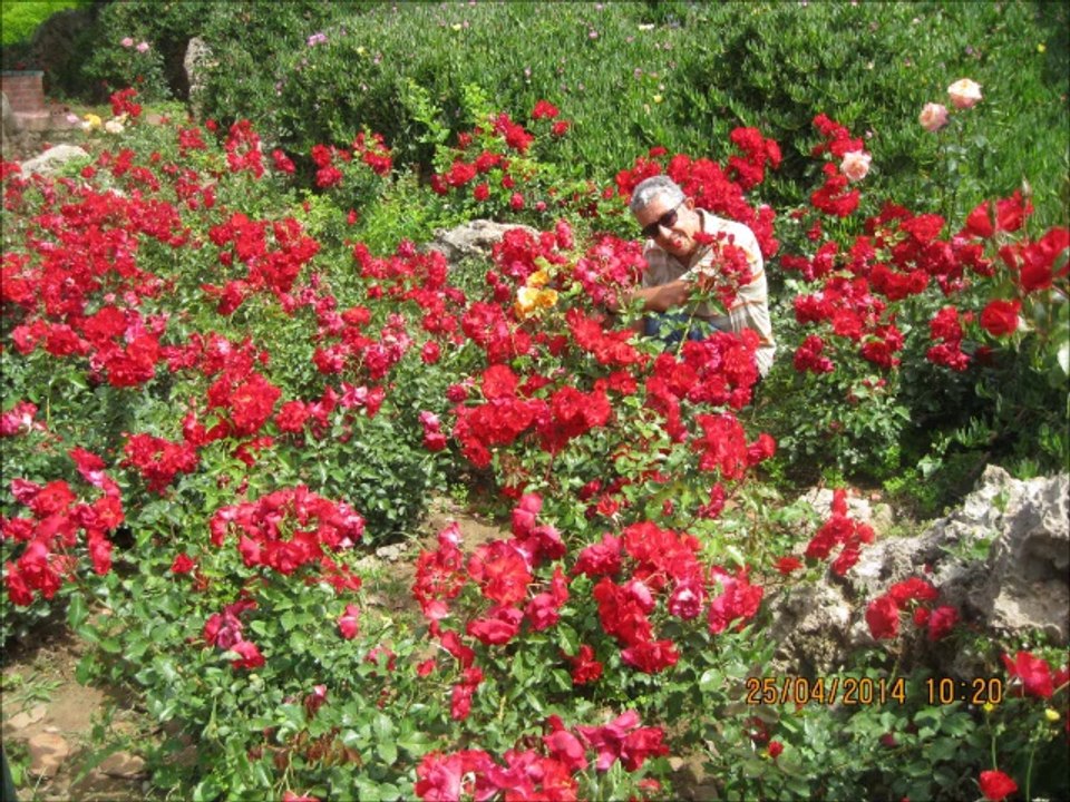 BARİŞ MANÇO-DAĞLAR DAĞLAR