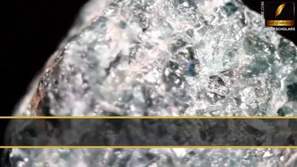 A Gem in Sewage by Shaykh Zulfiqar Ahmad