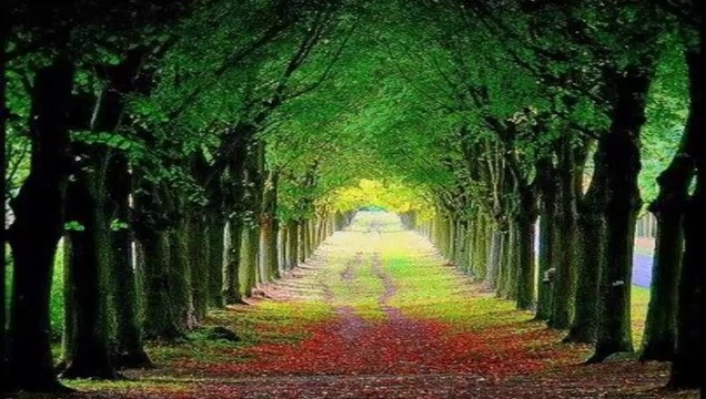 MUZAFFER GÜRLER- DERMANE DİLUCANA