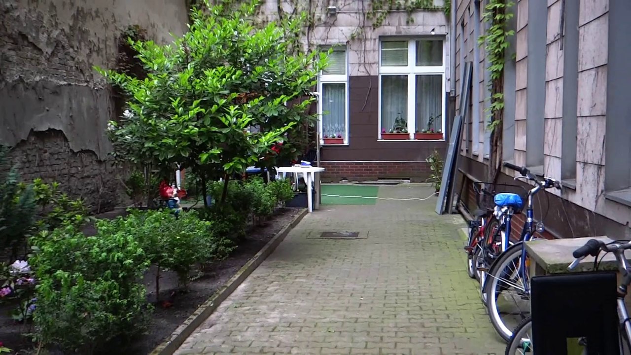 Dina, Kessy und Nora auf den hinterhof