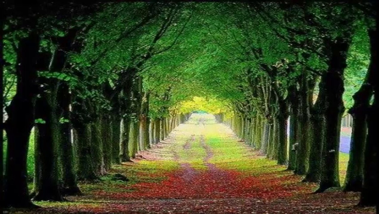 MUSTAFA KALYONCU - GAVSUL AZAM BENİM ŞEYHİM