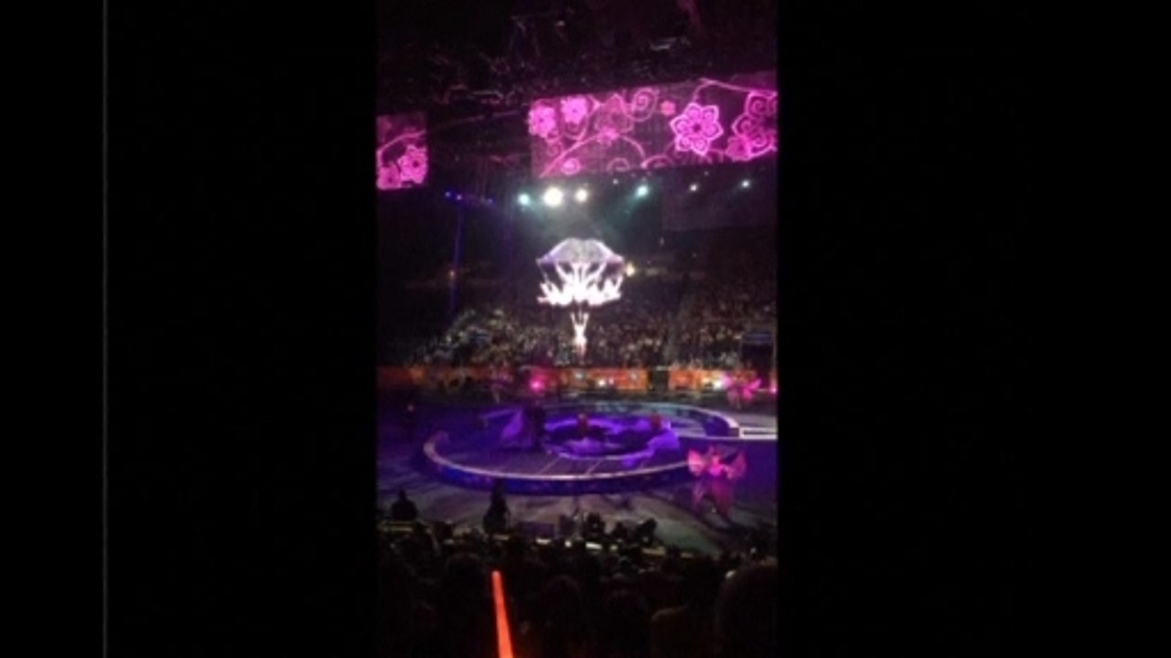 Nine acrobats critically injured in circus coll...