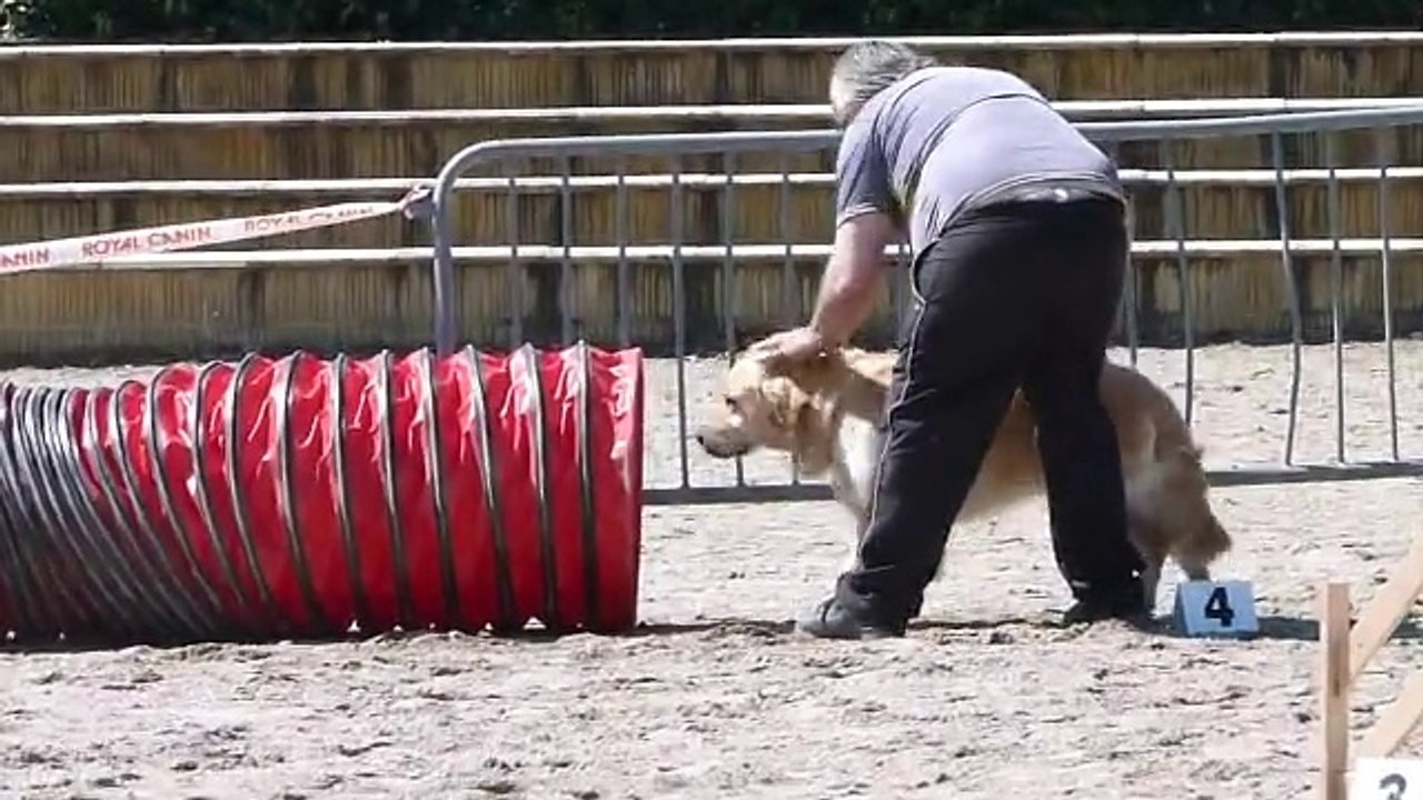 Expo de Montauban 2014 - Initiation Agility