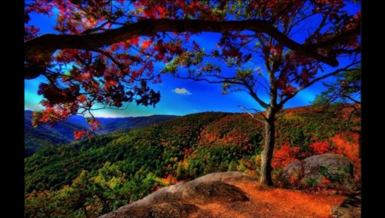 Luke Strada - Adeus (MUSICA SERTANEJA UNIVERSITÁRIA ROMÂNTICA)