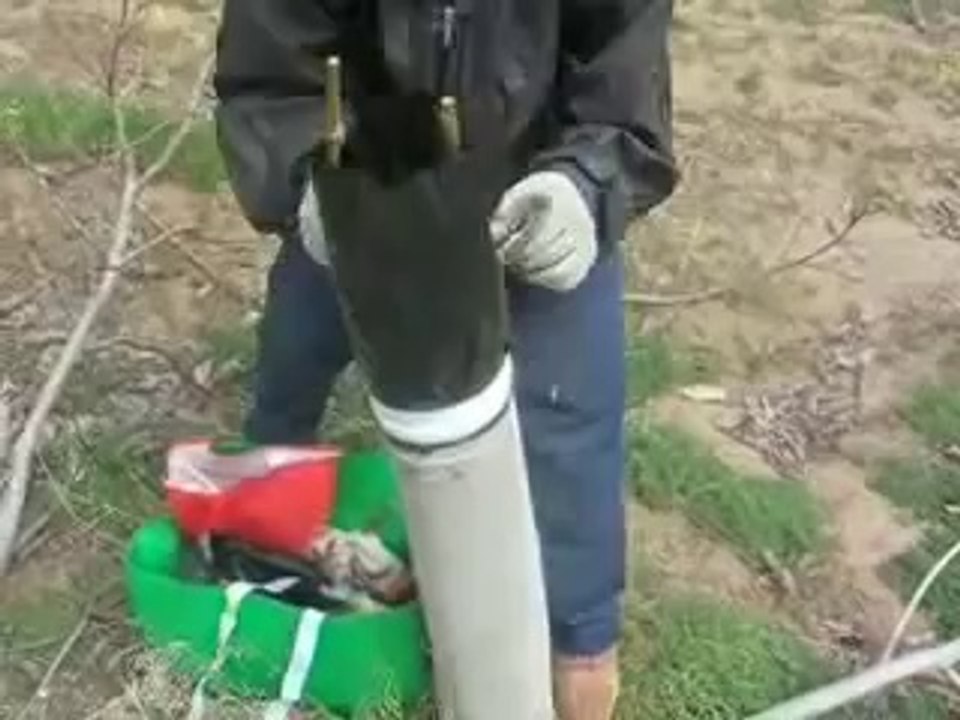 Ceviz Kabuk Aşısı