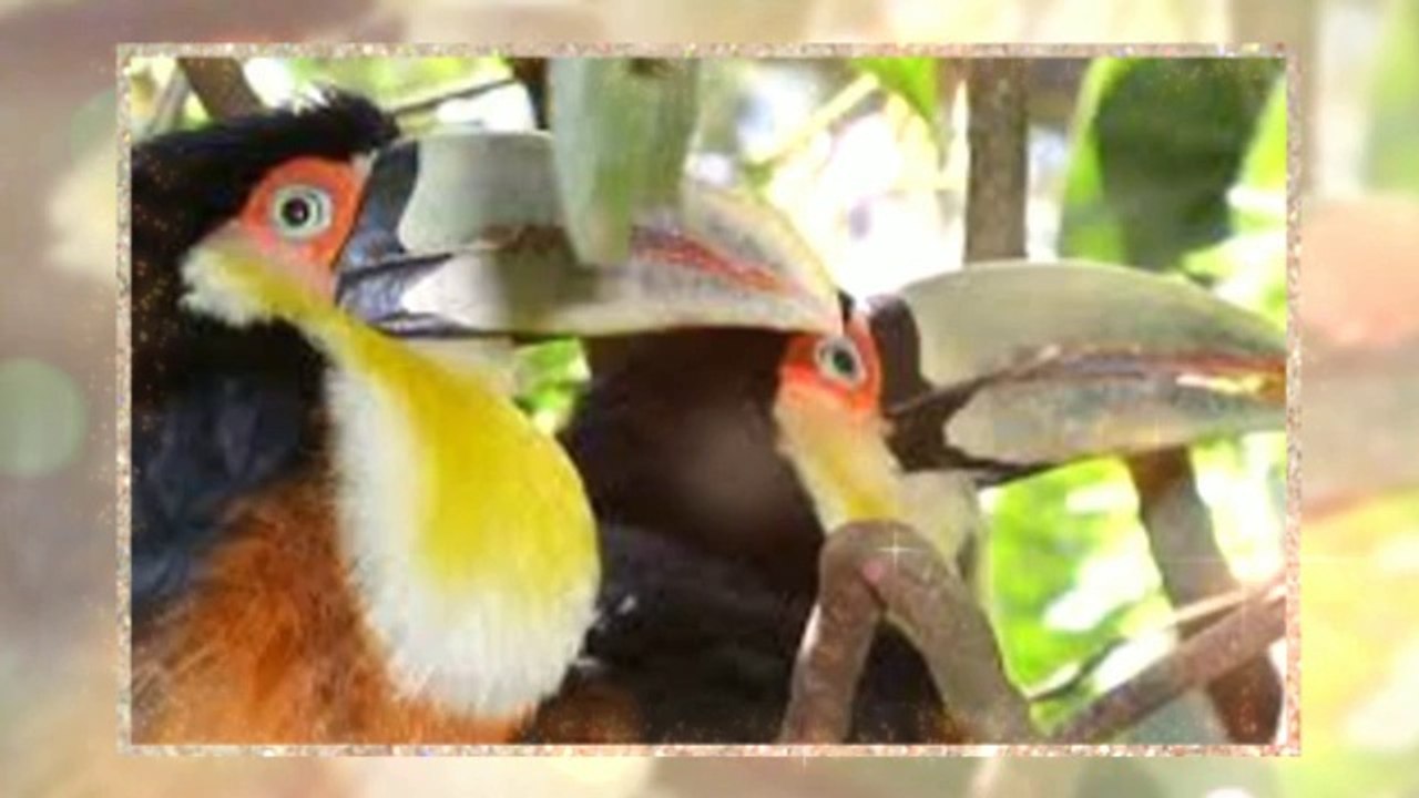 fun science for elementary school kids