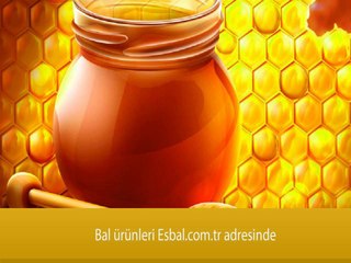 Bal Arıların Neresinden Çıkar