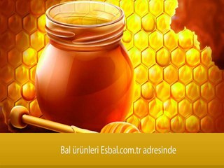 Arılar Nasıl Bal Yapar Video İzle