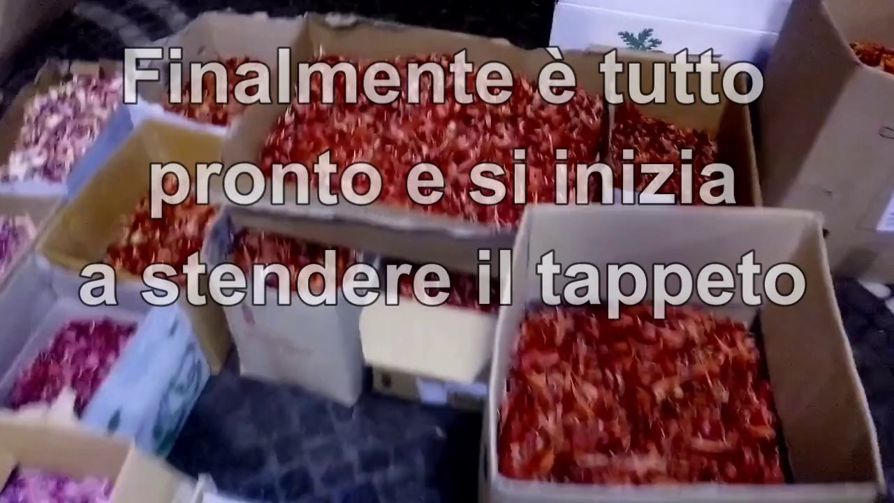 Il Secondo viale melina per San Ciro - Portici (NA) - Italia