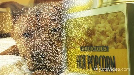 The Grove at Spring Valley Apartments in Columbia, SC - ForRent.com