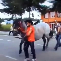 Voilà pourquoi il ne faut jamais passer derrière un cheval !