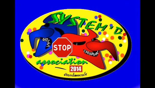 Carnaval Cholet 2014 Nuit. System'D